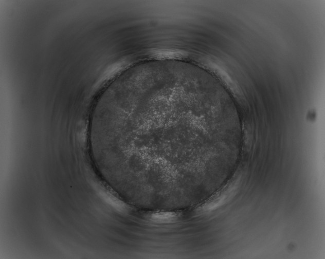 X0000102340357200808081136