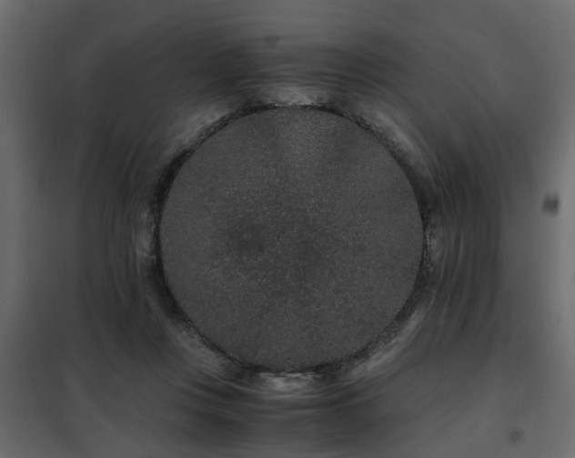 X0000102340359200808081136