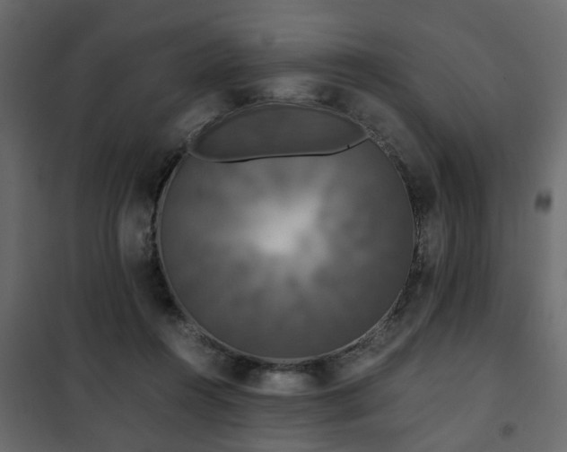 X0000102340360200808081136