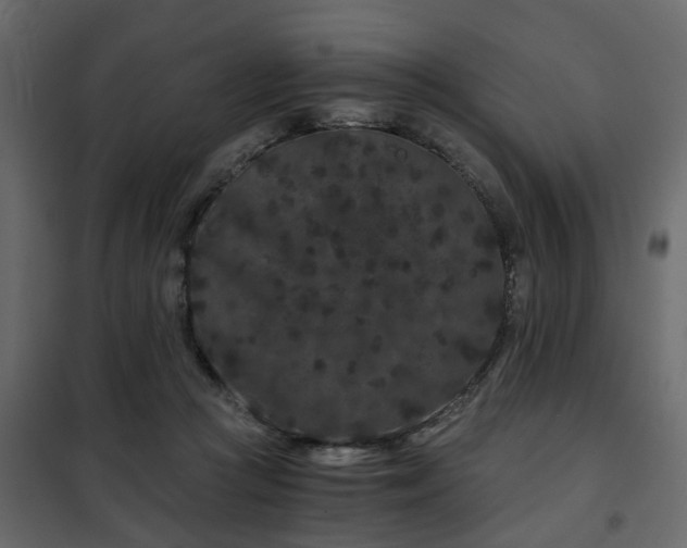 X0000102340361200808081136