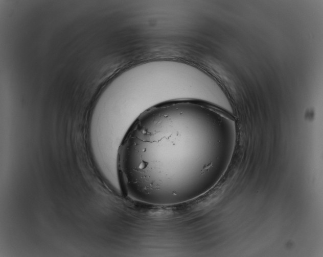 X0000102340362200808081136