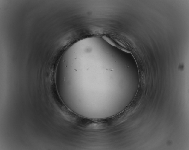 X0000102340364200808081136