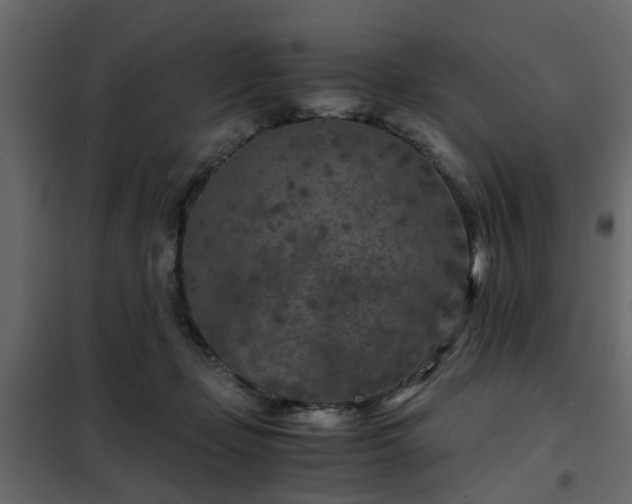 X0000102340365200808081136