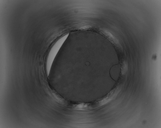 X0000102340366200808081136