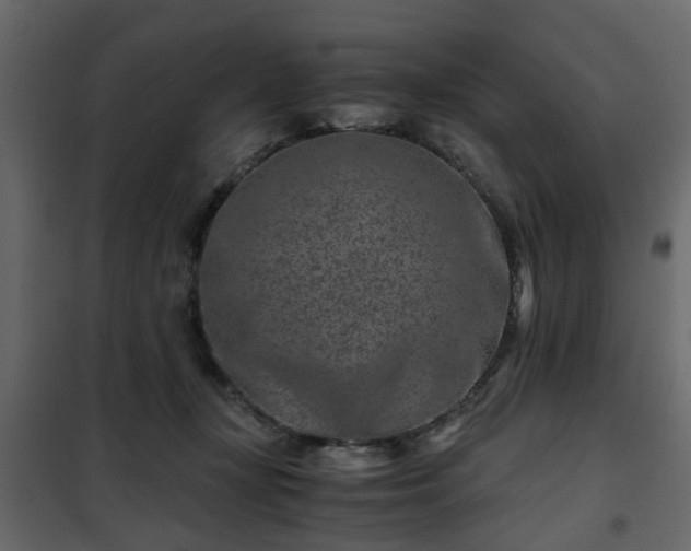 X0000102340367200808081136