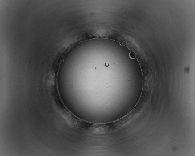 X0000102340368200808081136