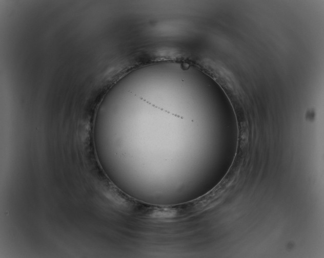 X0000102340369200808081136