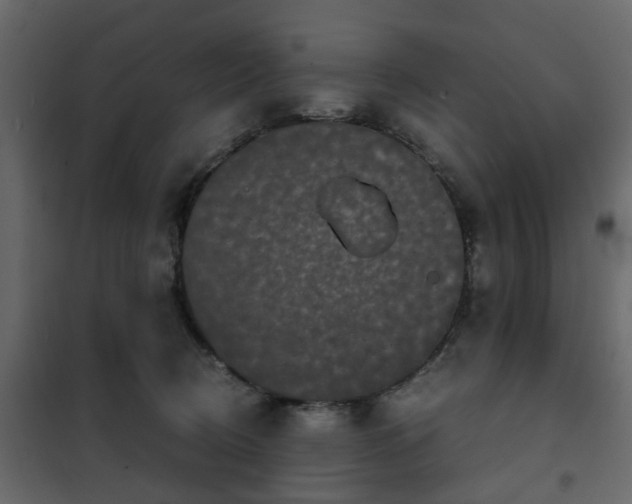 X0000102340370200808081136