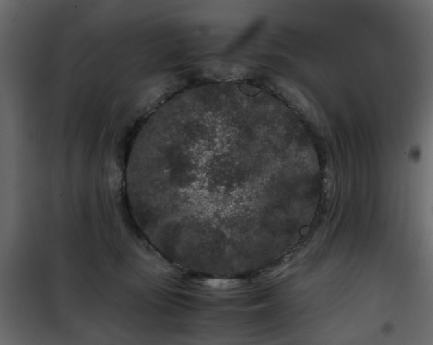 X0000102340371200808081136