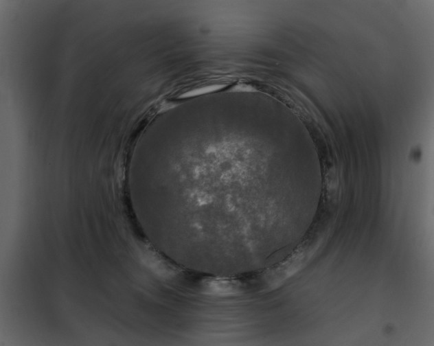 X0000102340372200808081136