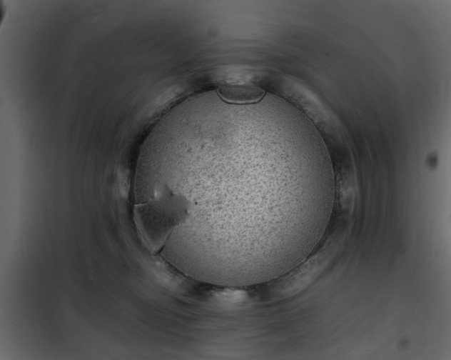 X0000102340374200808081136