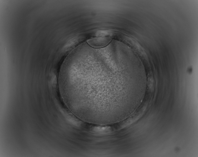 X0000102340375200808081136