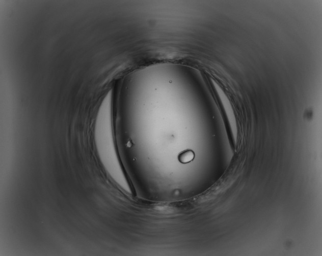 X0000102340376200808081136