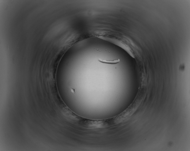 X0000102340377200808081136