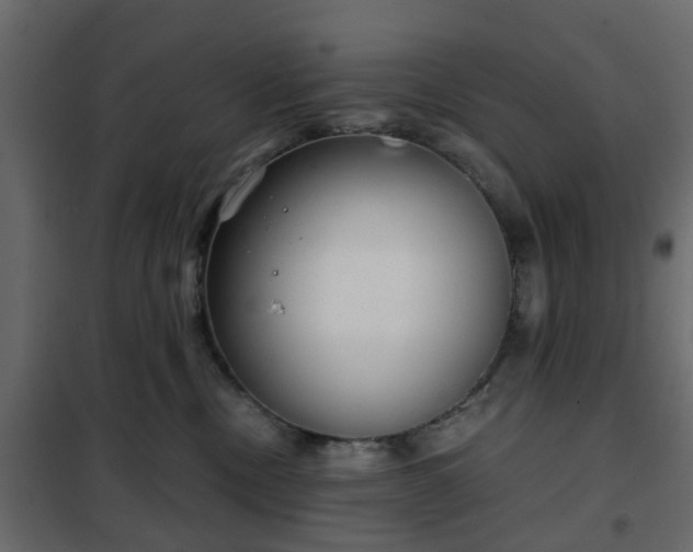 X0000102340378200808081136