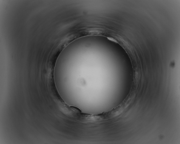 X0000102340379200808081136