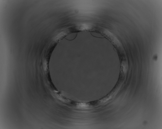 X0000102340380200808081136