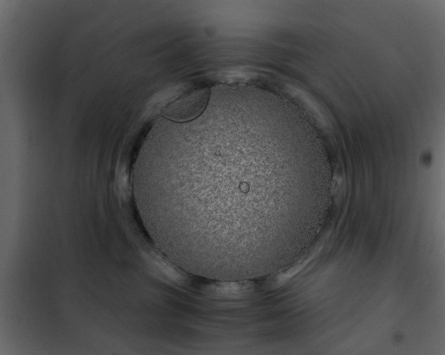 X0000102340381200808081136