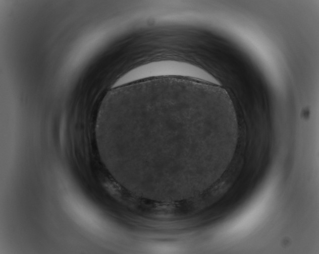 X0000102340382200808081136