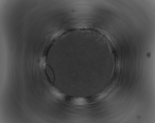 X0000102340383200808081136