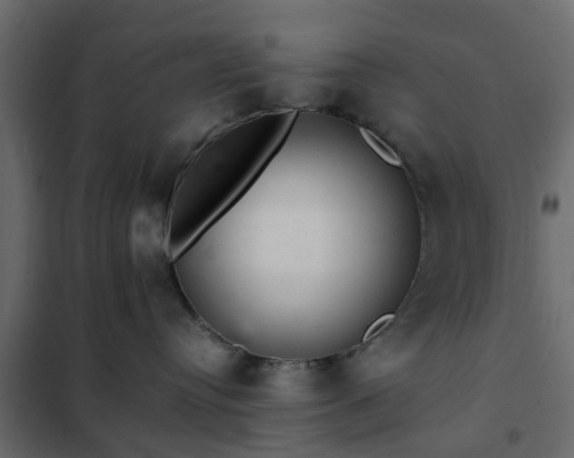 X0000102340384200808081136