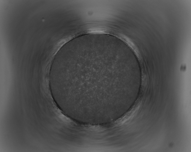 X0000102340385200808081136