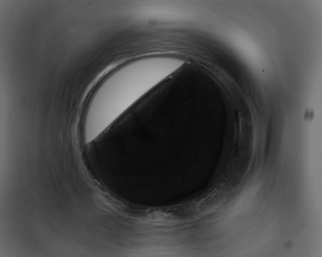 X0000102340387200808081136