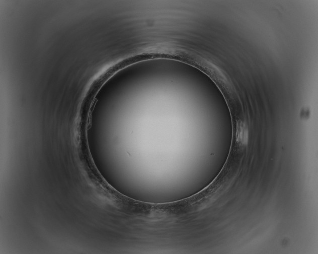 X0000102340388200808081136