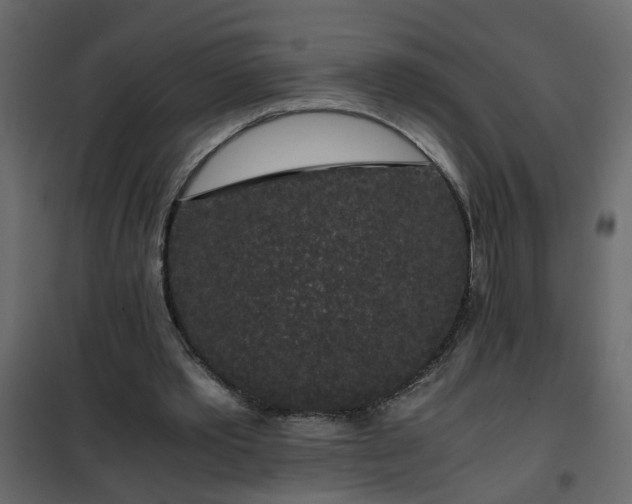 X0000102340389200808081136