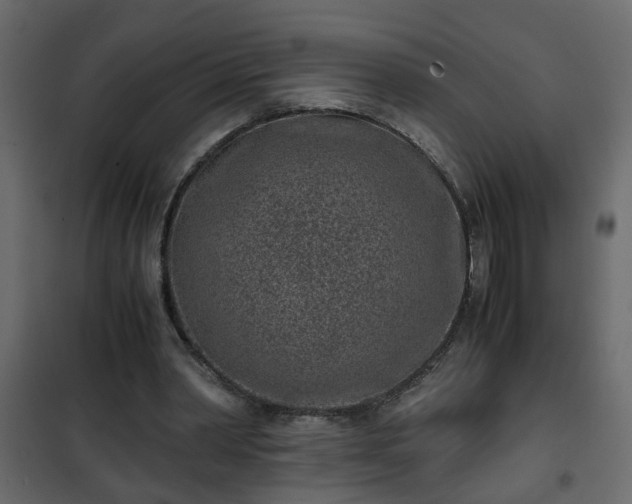 X0000102340390200808081136