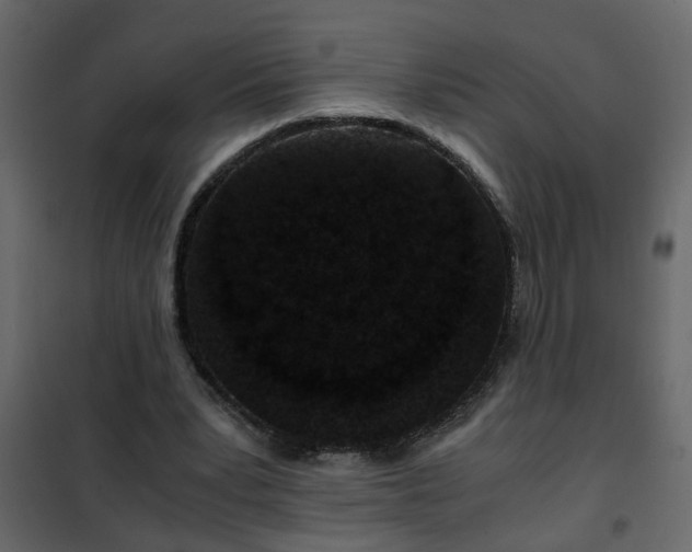 X0000102340391200808081136