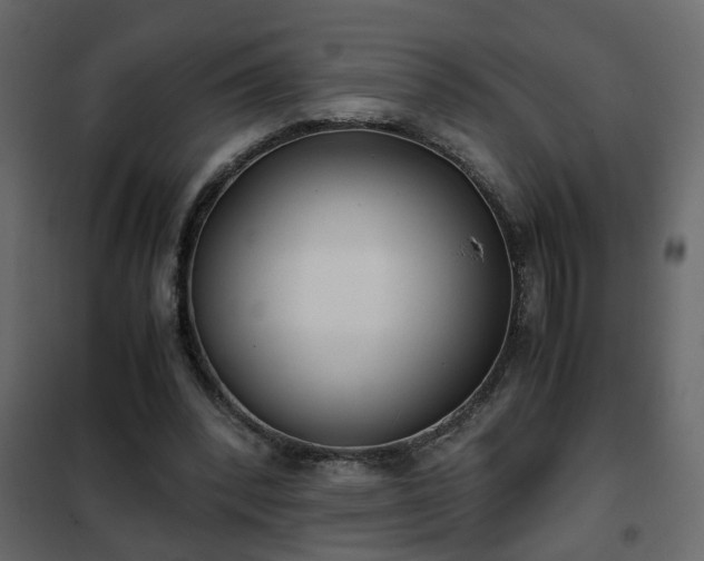 X0000102340392200808081136