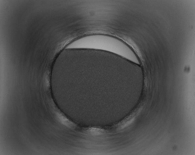 X0000102340393200808081136