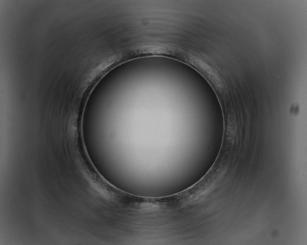 X0000102340394200808081136