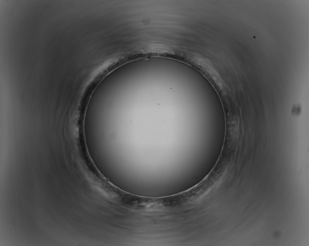 X0000102340395200808081136