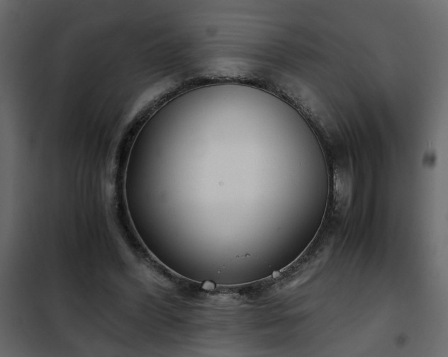 X0000102340396200808081136