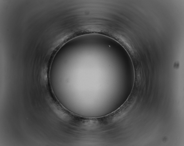 X0000102340398200808081136