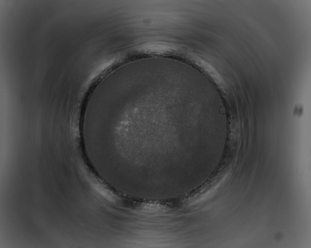 X0000102340399200808081136