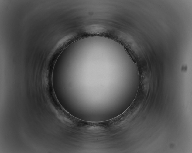 X0000102340400200808081136