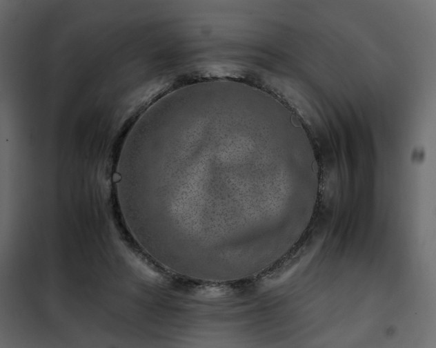 X0000102340402200808081136