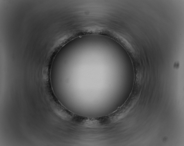 X0000102340403200808081136