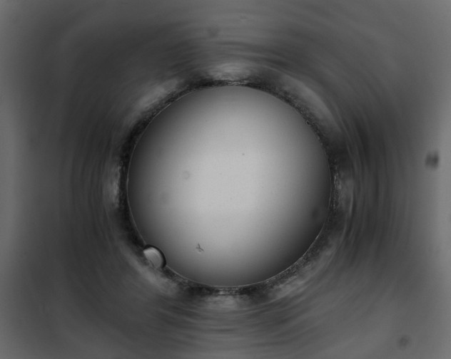 X0000102340404200808081135