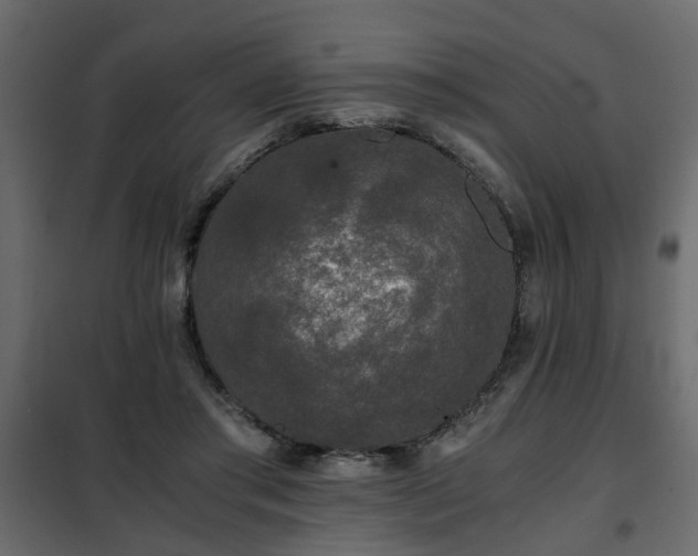 X0000102340405200808081135