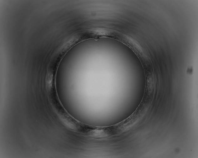 X0000102340406200808081135