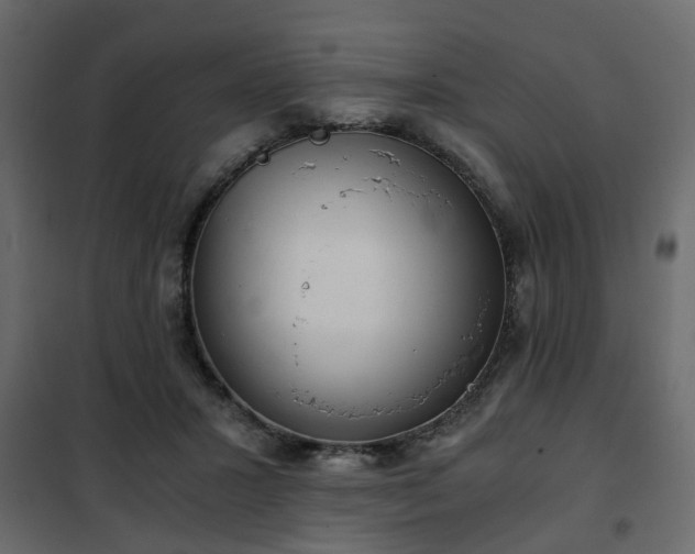 X0000102340407200808081135