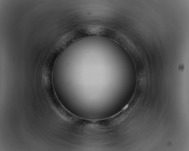 X0000102340408200808081135