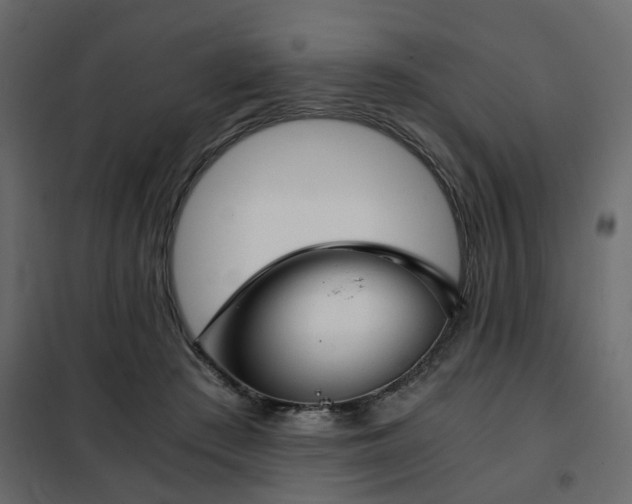 X0000102340409200808081135