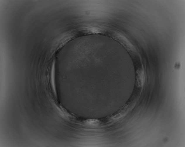 X0000102340410200808081135