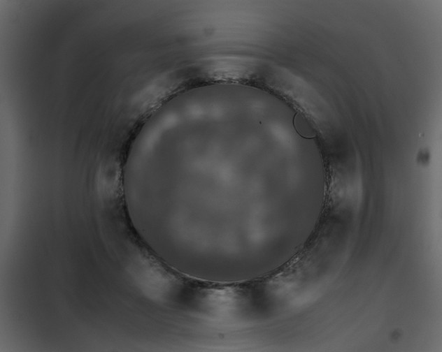 X0000102340411200808081135