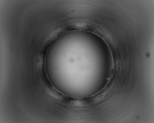 X0000102340412200808081135